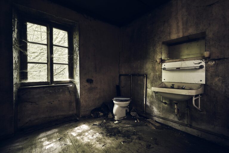 Comment Nettoyer la Moisissure dans votre Salle de Bain ?